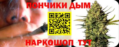 индика Усть-Илимск