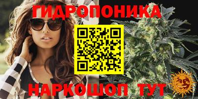 индика Усть-Илимск