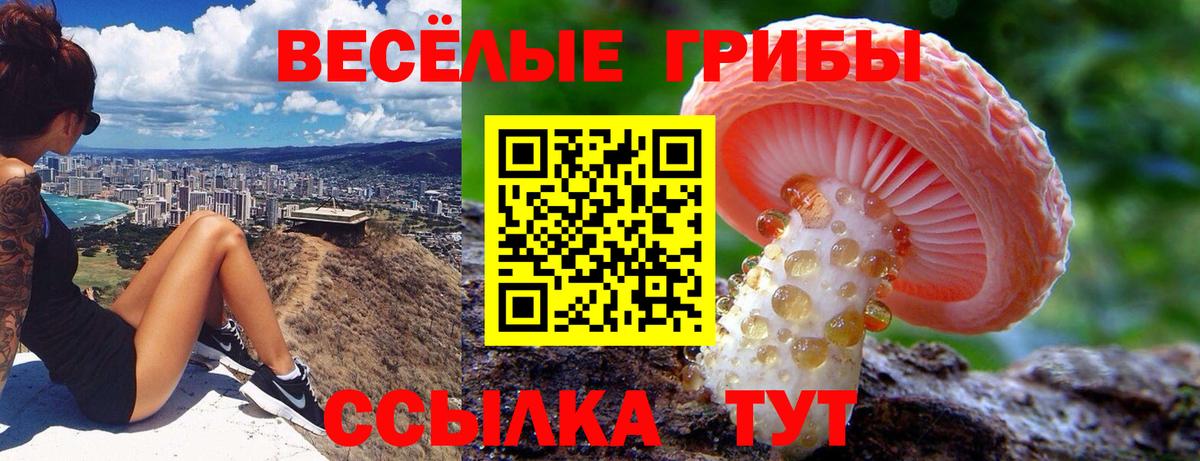 Псилоцибиновые грибы прущие грибы  Вход с VPN  Шелехов  Псилоцибиновые грибы Psilocybine cubensis 